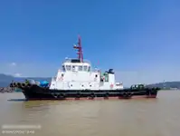 টাউবোট বিক্রির জন্য