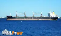 বাল্ক বাহক বিক্রির জন্য