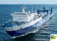 Ro-Ro ship বিক্রির জন্য