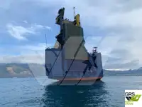 Ro-Ro ship বিক্রির জন্য
