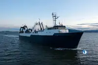 Trawler বিক্রির জন্য