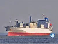 রিফার জাহাজ বিক্রির জন্য