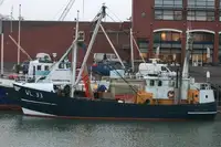 Trawler বিক্রির জন্য