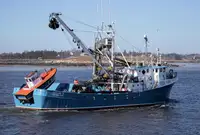 Purse seiner বিক্রির জন্য