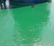 বাল্ক বাহক বিক্রির জন্য