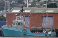 Trawler বিক্রির জন্য