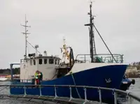 Trawler বিক্রির জন্য