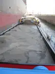 বার্জ বিক্রির জন্য