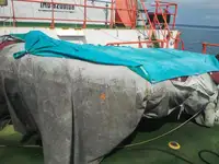 টগবোট বিক্রির জন্য