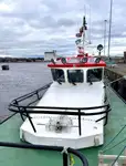 পাইলট বোট বিক্রির জন্য