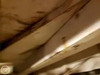 ফেরি জাহাজ বিক্রির জন্য