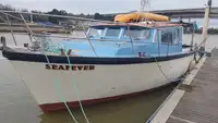 কাটার বিক্রির জন্য
