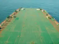 বাল্ক ক্যারিয়ার বিক্রির জন্য