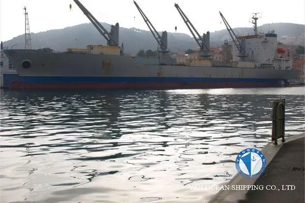 Reefer ship for sale