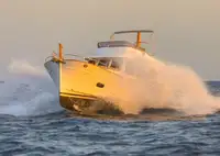 ট্রলার বিক্রির জন্য