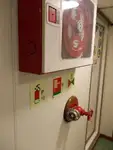 বাল্ক বাহক বিক্রির জন্য