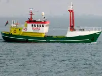 টহল নৌকা বিক্রির জন্য