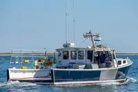 Purse seiner বিক্রির জন্য