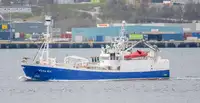Purse seiner বিক্রির জন্য