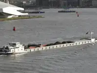বাল্ক বাহক বিক্রির জন্য