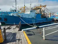 Trawler বিক্রির জন্য
