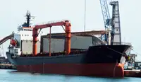 বাল্ক ক্যারিয়ার বিক্রির জন্য