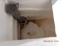 পার্স সেইনার বিক্রির জন্য