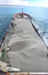 কন্টেইনার জাহাজ বিক্রির জন্য