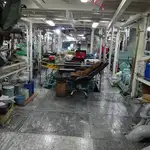 পার্স সেইনার বিক্রির জন্য