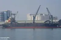 বাল্ক বাহক বিক্রির জন্য