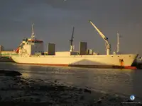 রেফার জাহাজ বিক্রির জন্য