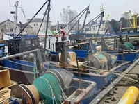 সরাসরি মাছবাহী জাহাজ বিক্রির জন্য