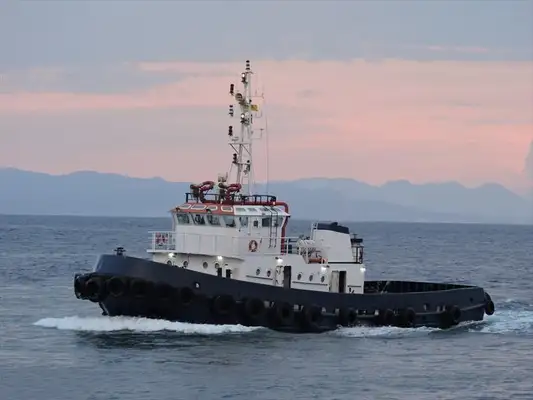 Towboat for sale