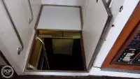 ডাইভ সাপোর্ট বিক্রির জন্য