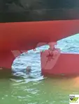 বাল্ক বাহক বিক্রির জন্য