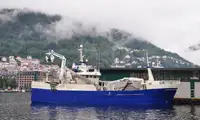 Purse seiner বিক্রির জন্য
