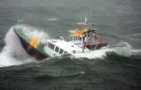 পাইলট নৌকা বিক্রির জন্য