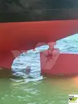 বাল্ক বাহক বিক্রির জন্য