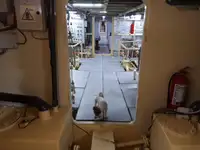 General Cargo/Multi-purpose বিক্রির জন্য