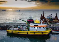 ওয়ার্ক বোট বিক্রির জন্য