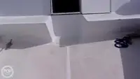 ডাইভ সাপোর্ট বিক্রির জন্য