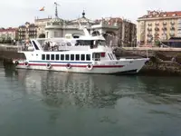 ফেরি জাহাজ বিক্রির জন্য