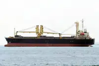 বাল্ক ক্যারিয়ার বিক্রির জন্য