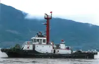 টাউবোট বিক্রির জন্য