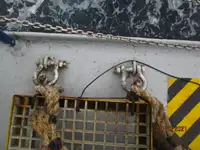রিফার জাহাজ বিক্রির জন্য