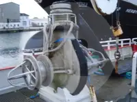 Trawler বিক্রির জন্য