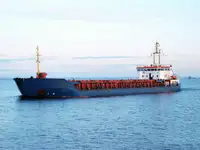 বাল্ক ক্যারিয়ার বিক্রির জন্য