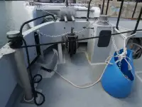ক্যাটামারান বিক্রির জন্য