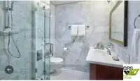 ক্রুজ জাহাজ বিক্রির জন্য