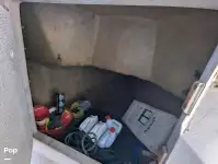 ক্রুজফেরি বিক্রির জন্য